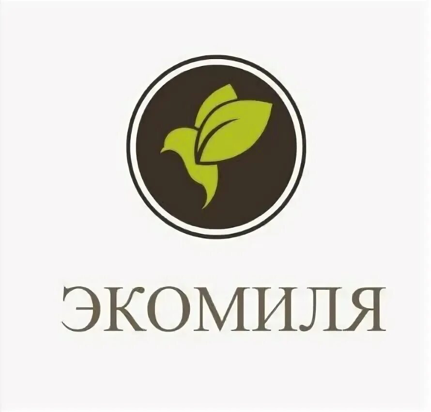 Ооо актив юг