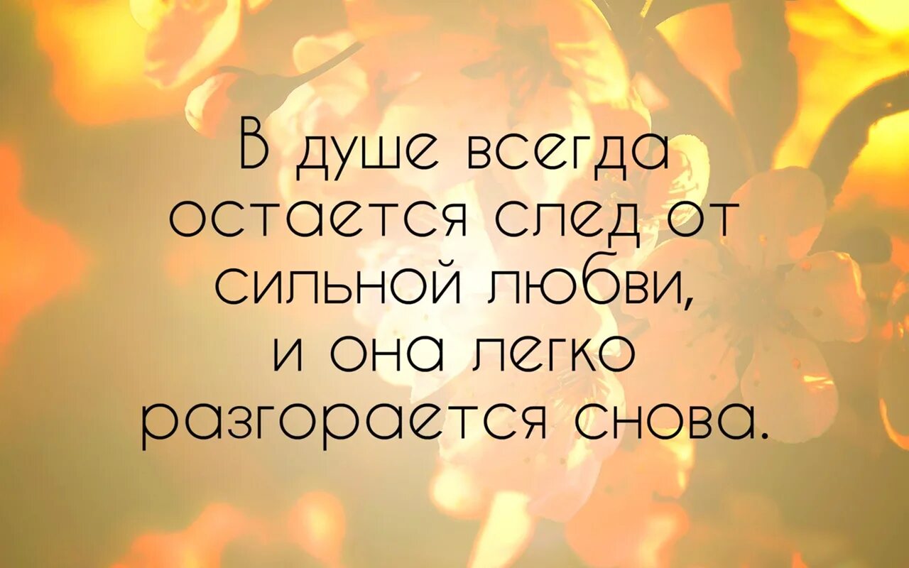 Первая любовь цитаты. Афоризмы про первую любовь. Любовь сильнее всего цитаты. След в душе цитаты.