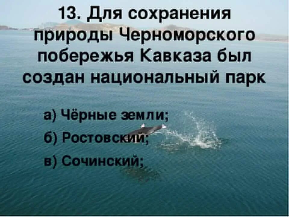У черного моря окр мир 4 класс. Охрана природы черноморского побережья. презентация черное море 4 класс окружающий мир. вопросы про черное море. охрана черного моря.