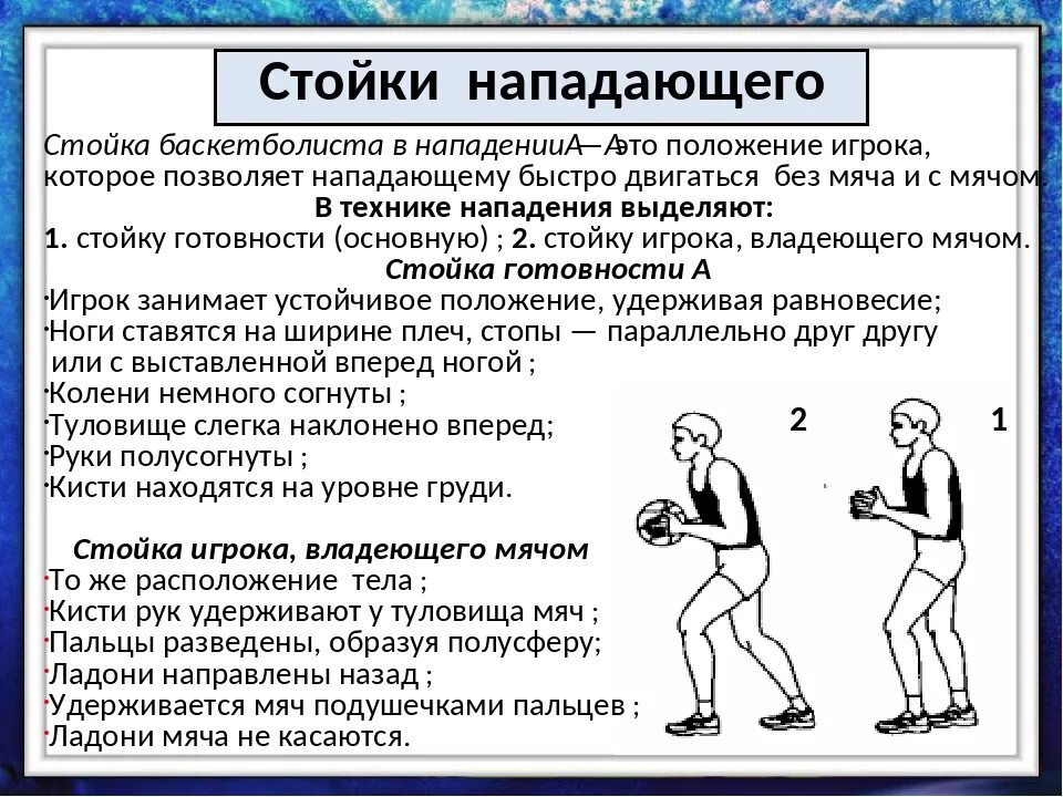 Какое положение является правильным