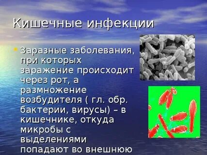 Кишечные инфекции и бактерии