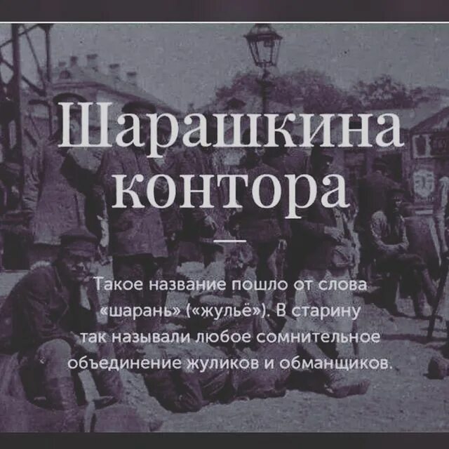 Контора это. Шарашкина контора. Шарашкина контора фразеологизм. Шарашкина контора происхождение фразеологизма. Шарашкина контора фото.