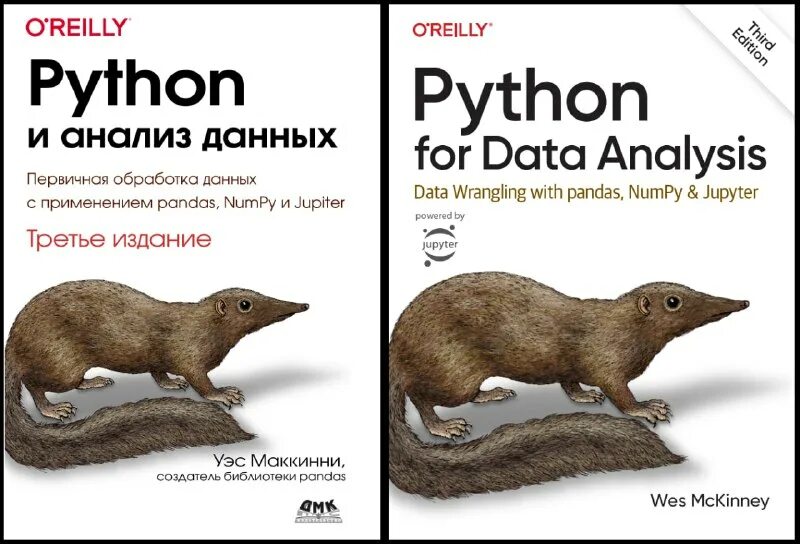 Python для анализа данных книга. Анализ данных на python. Питон и анализ данных книга купить. Python и анализ данных уэс маккинни. Python и анализ данных уэс маккинни книга.