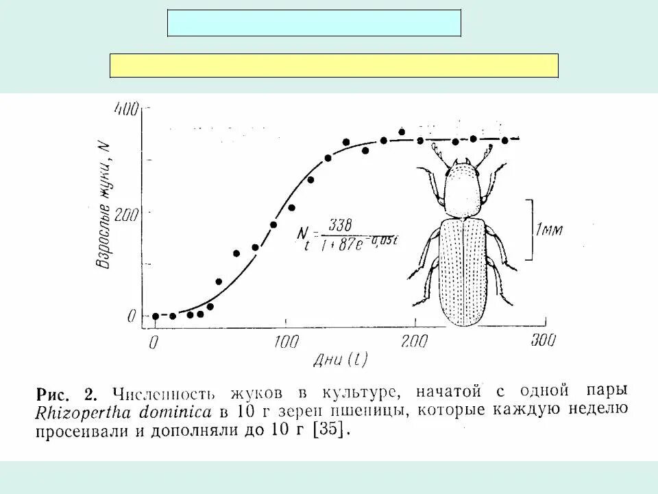 Ограниченный рост популяции. Численность популяции. Модели роста численности популяции. Кривые роста популяции экология.