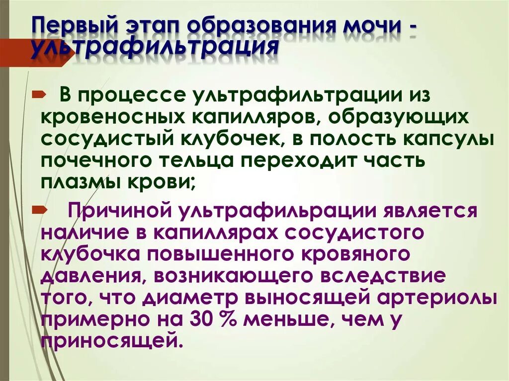 Этапы образования мочи. Первый этап образования мочи. Фазы образования мочи. Этапы образования мочи таблица.