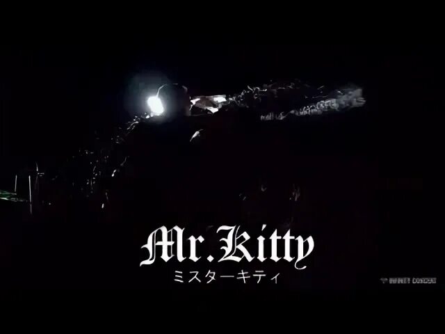 Перевод песни mr kitty