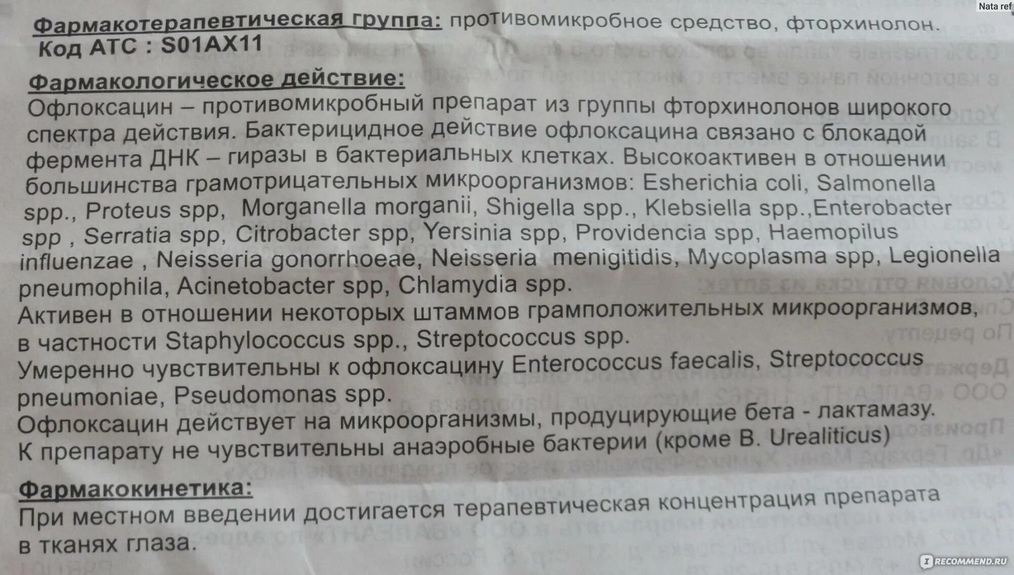 Флоксал мазь глазная показания. Мазь глазная флоксал показания к применению. Флоксал капли инструкция по применению отзывы. Капли для глаз флоксал инструкция по применению. Флоксал глазные капли инструкция.