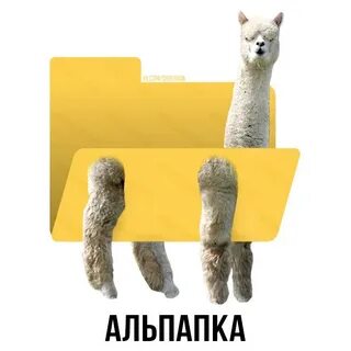 Батутка шаурмуха тигриб