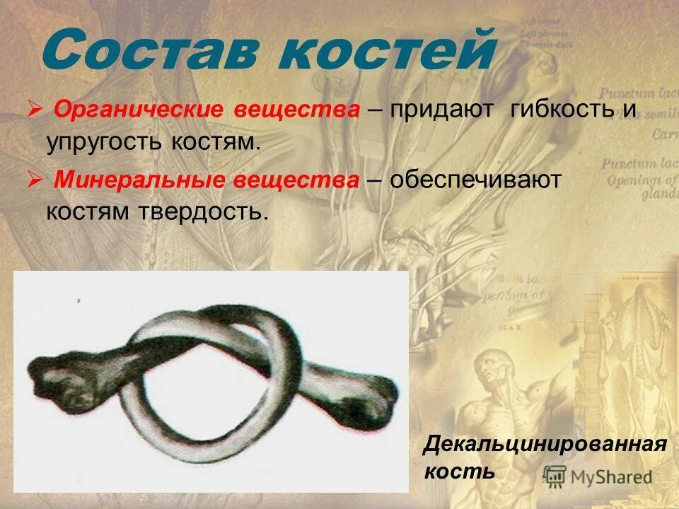 Придать и предать значение. Предел или придел как правильно пишется. Составляющих и придают. Предложение со словом предать и придать. Придать и предать словосочетания.