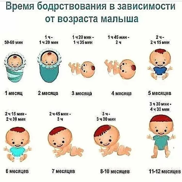 Через сколько детей. Время бодрствования ребенка по месяцам. сколько бодрствует ребенок в 1 месяц. бодрствование новорожденного по месяцам. бодрствование ребенка в 1 месяц.