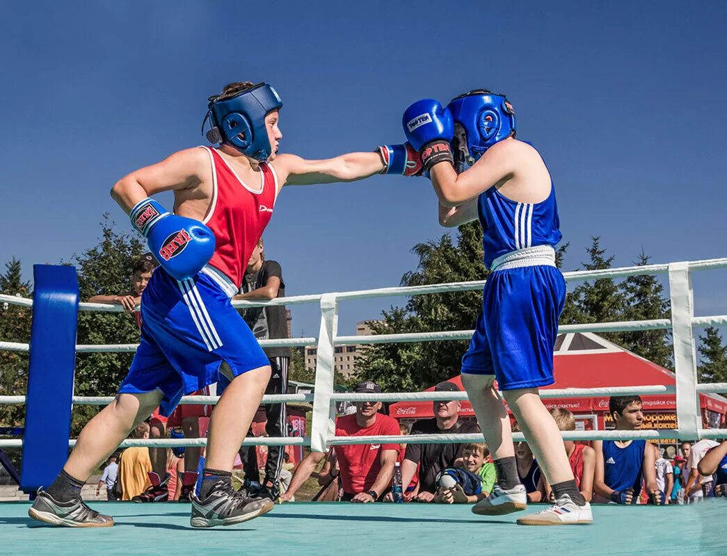 моды на мелан сан бокс. ббокс. моды на мелан сан бокс. бокс фото вбую. тайский боксер.
