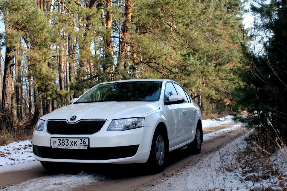 Skoda Octavia mk3 amazing. Шкода Рязань. Ниссан Шкода фото. Купить шкоду в рязани