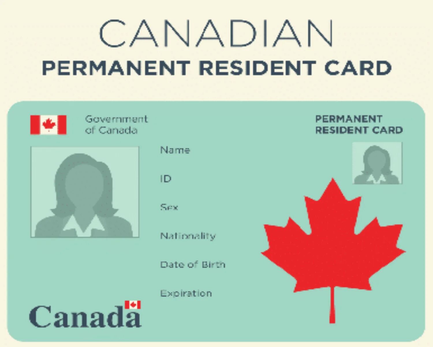 Permanently перевод. Permanent Resident Card Canada. Карта постоянного резидента Канады. Permanent Residence Card Canada. Canadian PR Card.