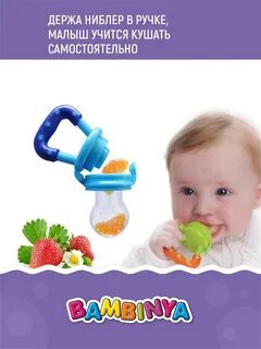Ниблер с какого возраста