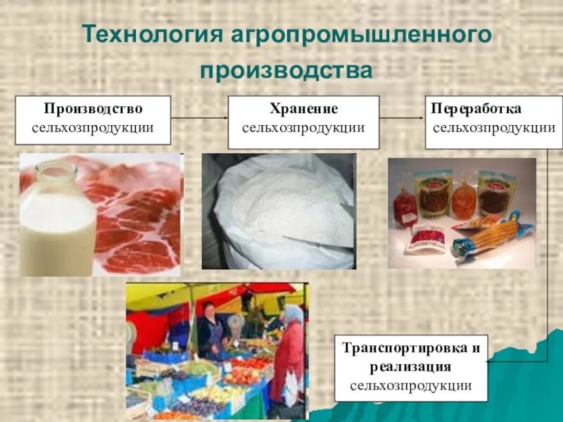 Технологии производства сельскохозяйственной продукции. Технология производства сельскохозяйственной продукции. Технология переработки сельскохозяйственной продукции. Технологии производства и переработки продукции. Технология агропромышленного производства.