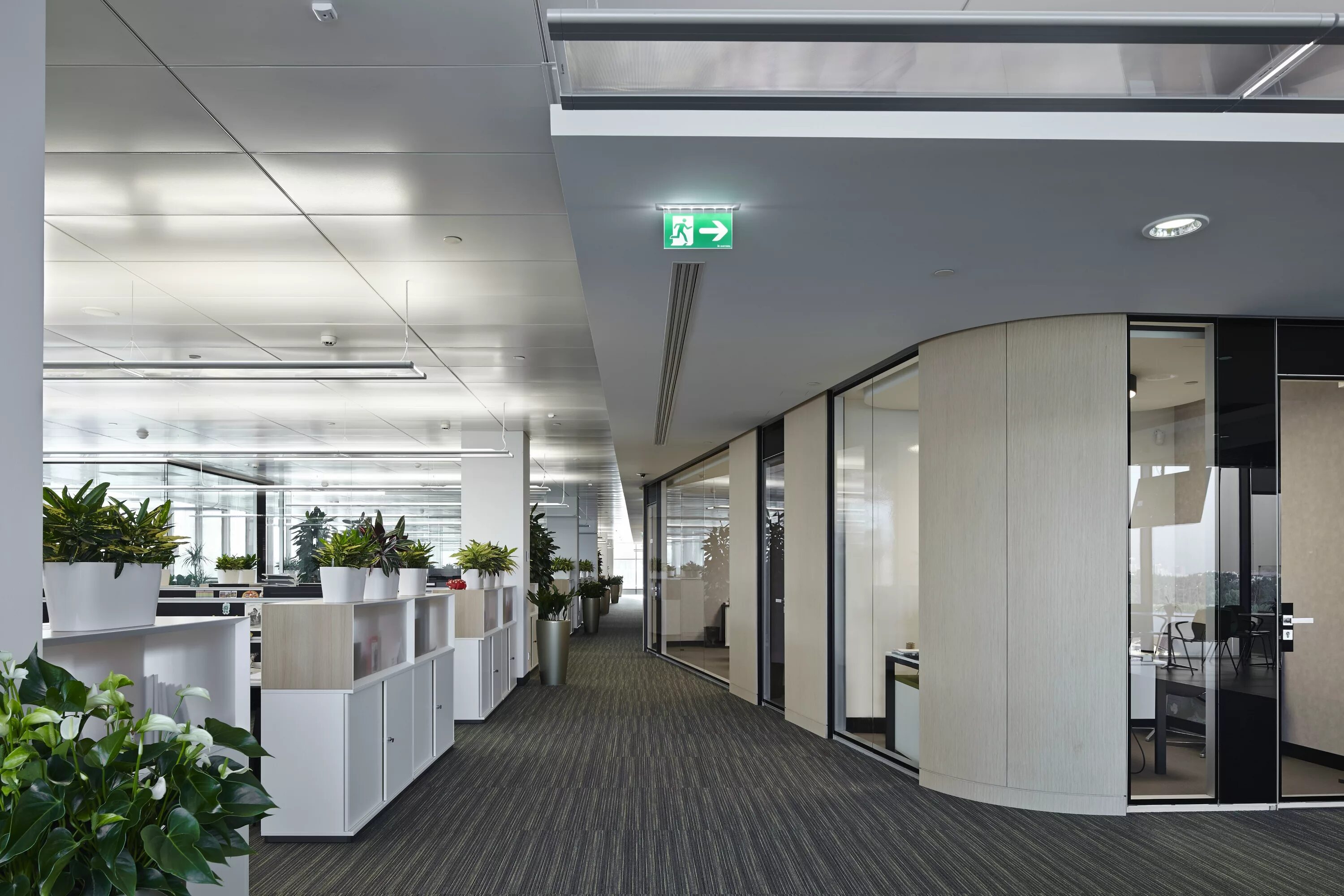 иных помещениях. красивый офис. отделка помещений. интерьер общественного здания. отделка офиса.