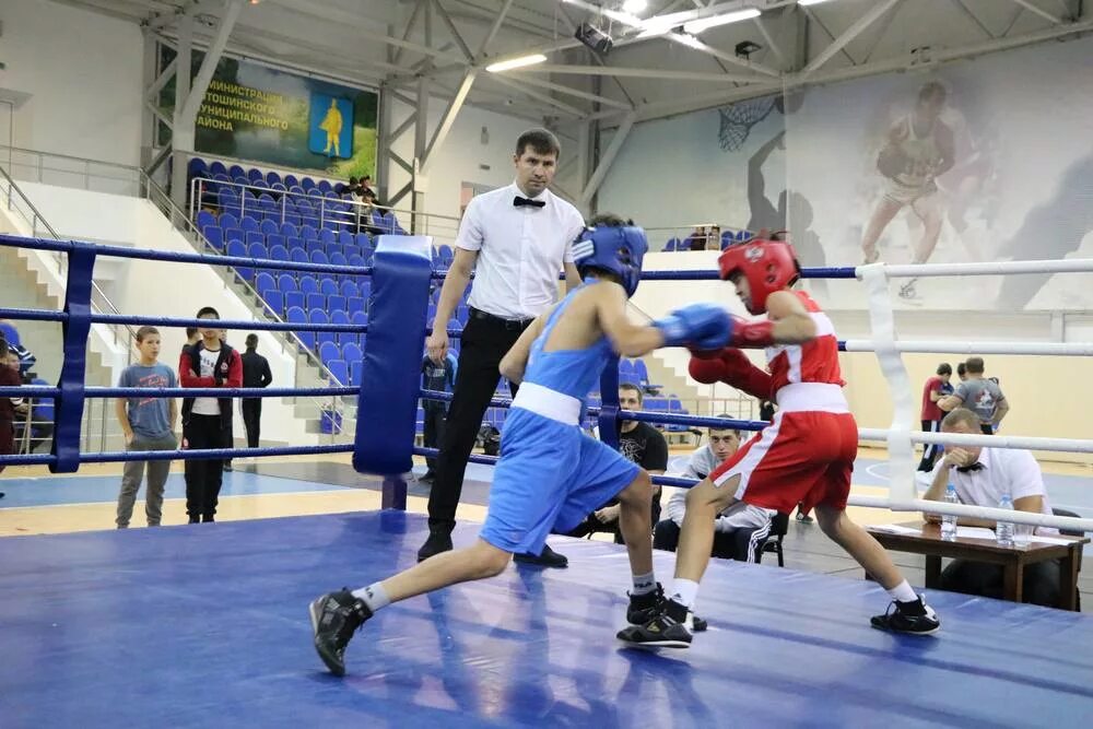 виктор смирнов боксер. айрат хаматов боксер. иван родионов боксер. лучшие боксеры коллаж. турнир по боксу в слюдянке 2022.
