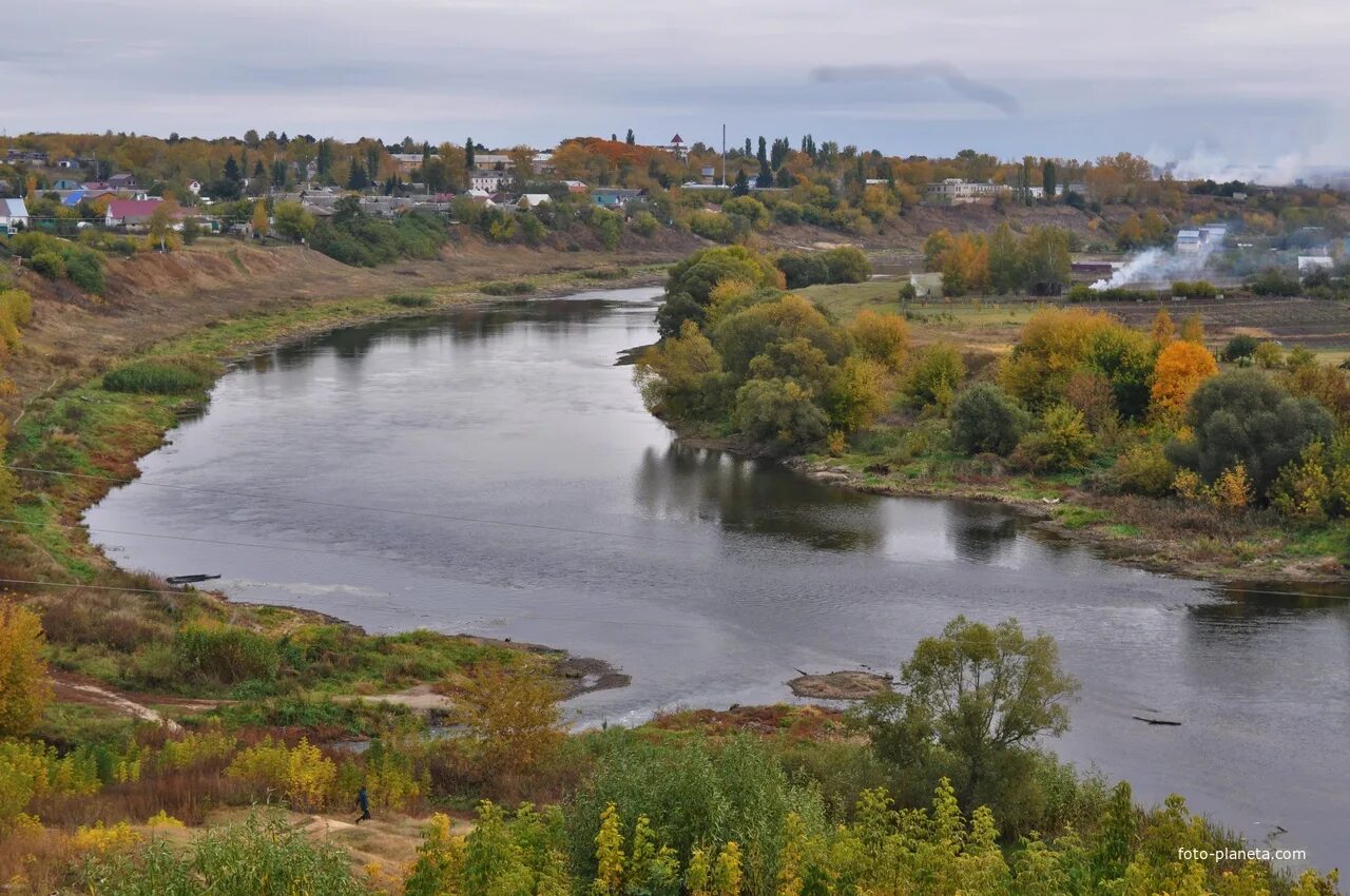 быстрая сосна