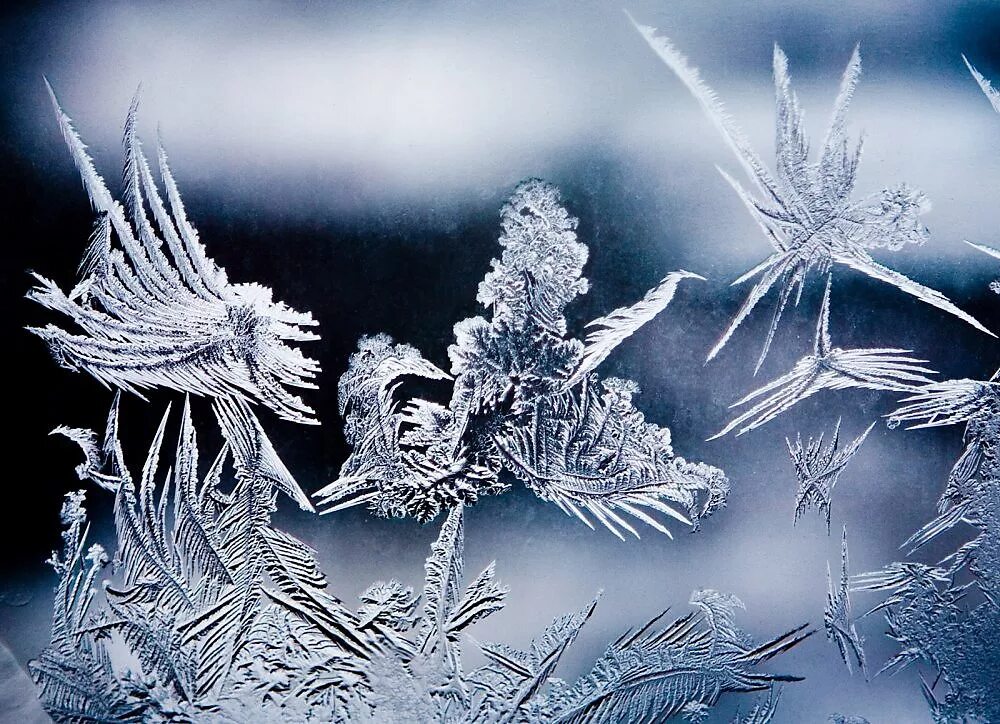 морозные узоры. узоры на окне. зимние узоры на стекле. зимний рисунок на стекле. морозное окно.