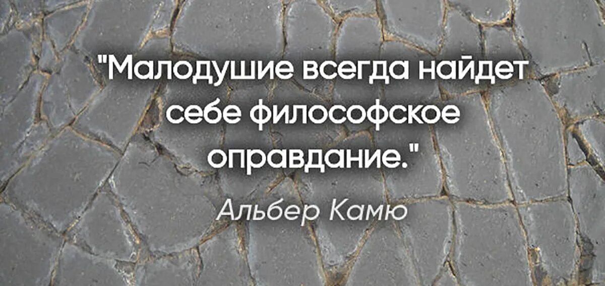 Что значит несчастье. Счастье приносит друзей а несчастье их проверяет. Талантам надо помогать бездарности пробьются сами Автор цитаты. Счастье приносит друзей.