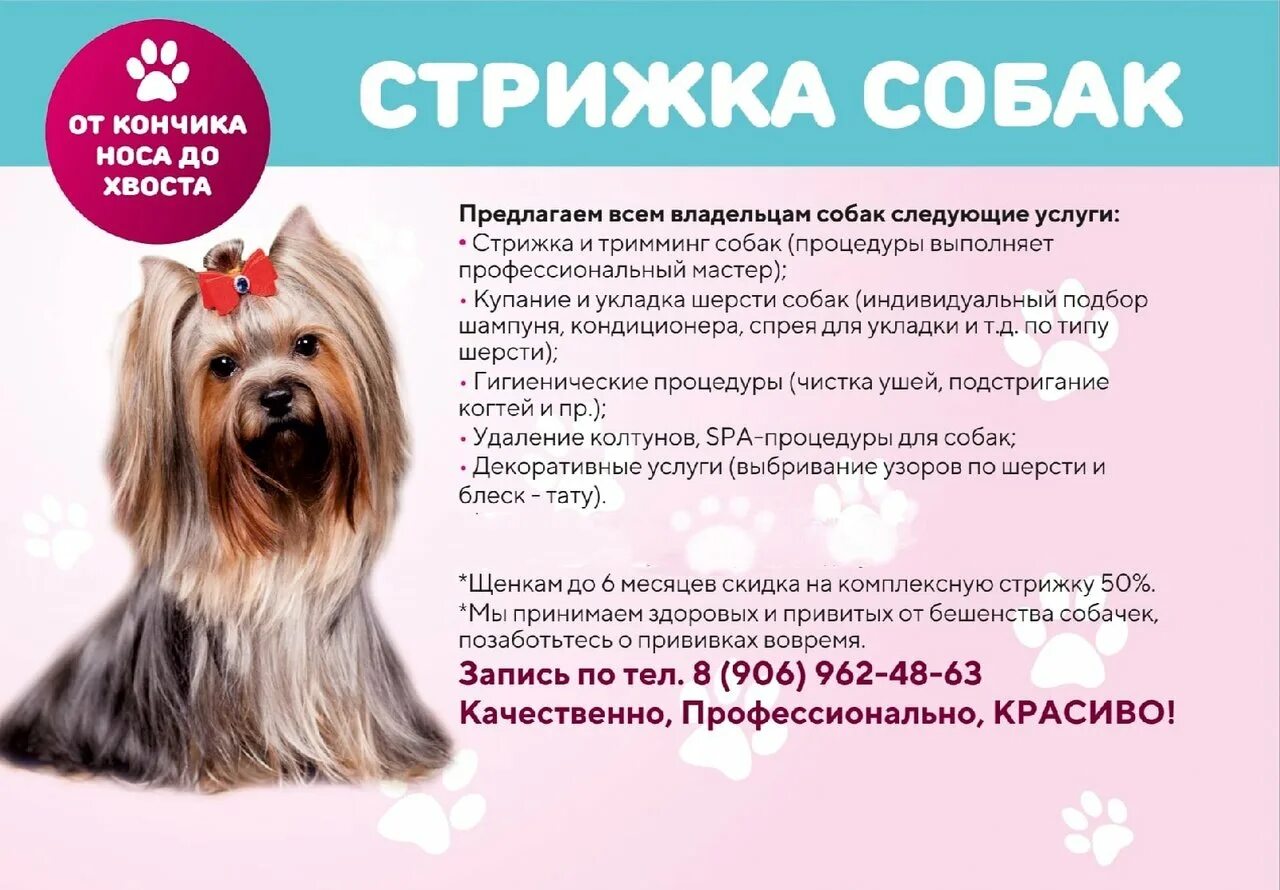 Почему грумер
