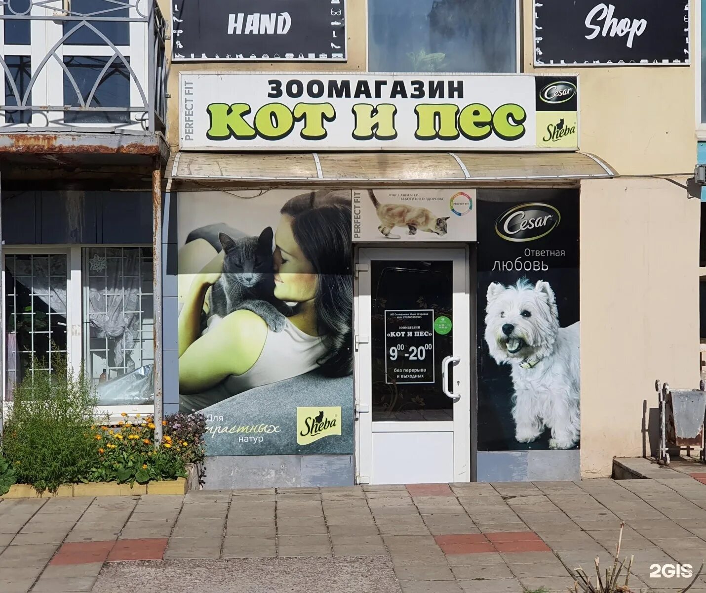 магазин кот и пес