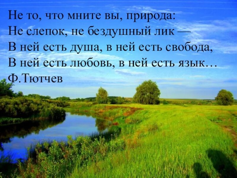 Не то что мните вы природа тютчев. Что мните вы природа тютчев. природа не слепок не бездушный лик. не то что мните вы природа. стихотворение тютчева не то что мните вы природа.