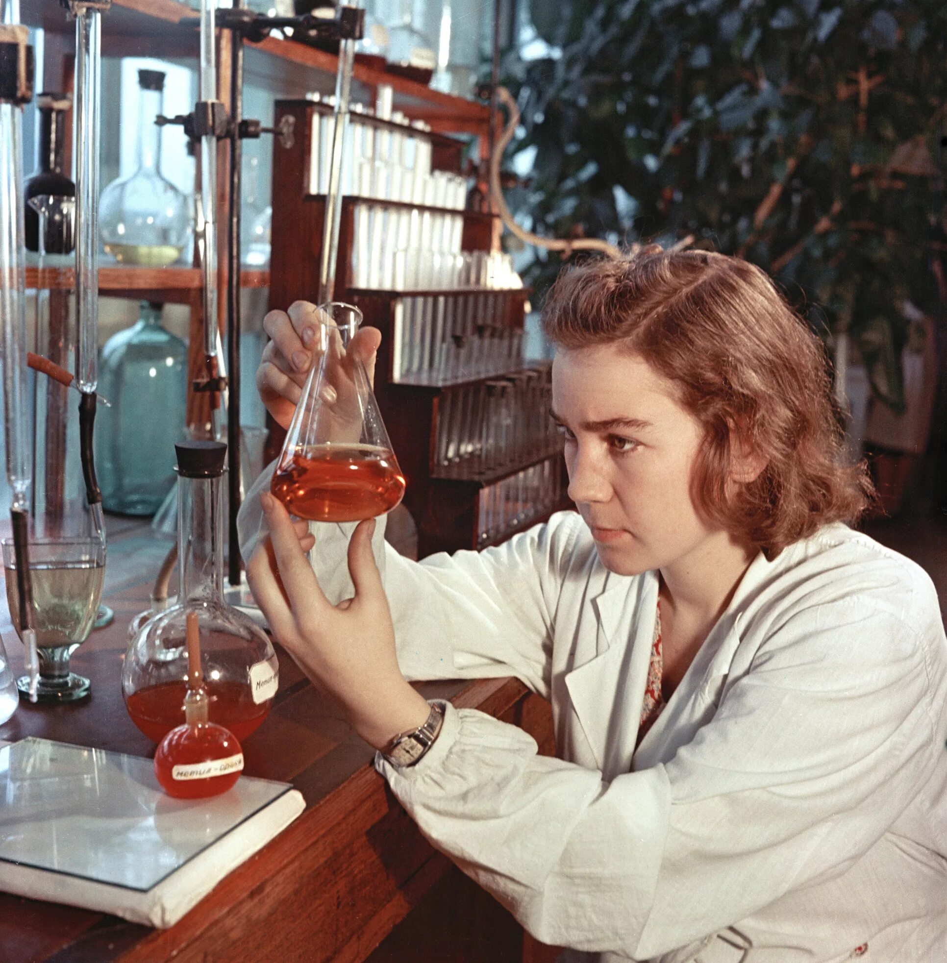 В ссср советские ученые. 20 советских ученых. Жданов, российский вирусолог. Наука ссср. Ученые ссср.