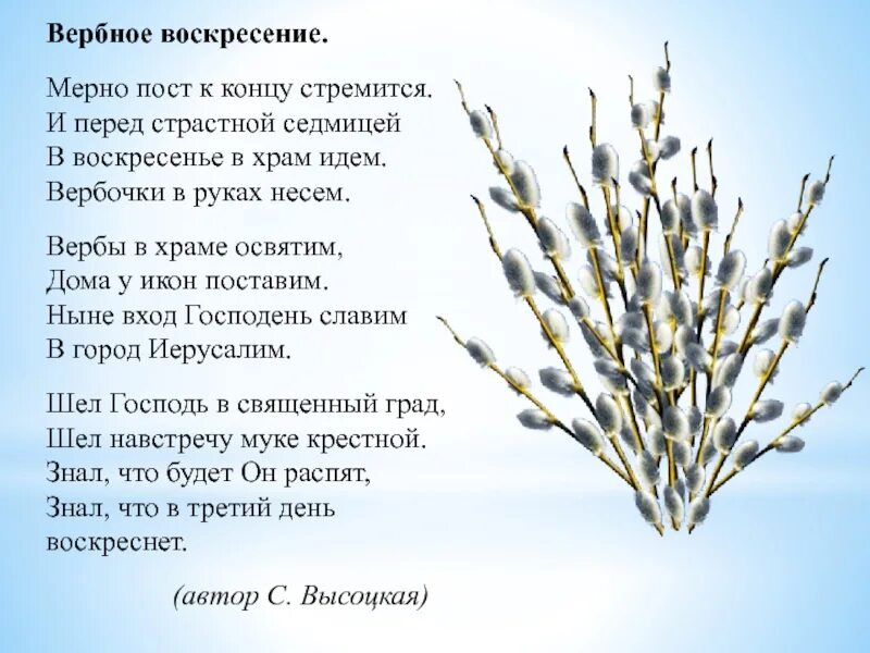 Надо ли вербу. С Вербным воскресеньем. Вербное воскресенье стихи. Вербное воскресенье для детей. Вербное воскресенье стихотворение.