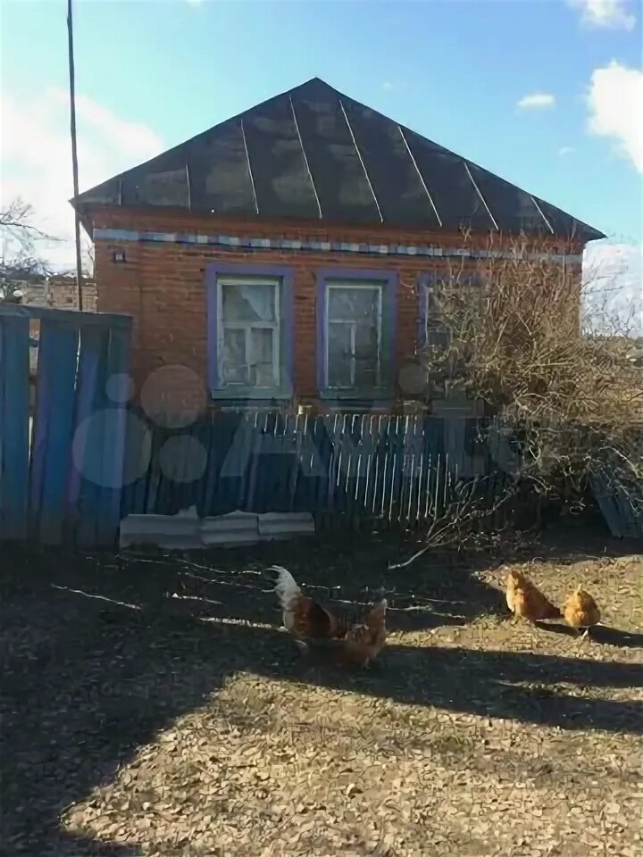 Погарский р он. Погарский р он. Борщово брянская область. Погарский р он. Погарский р он.