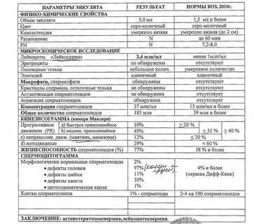 Во сколько лет появляется сп рма