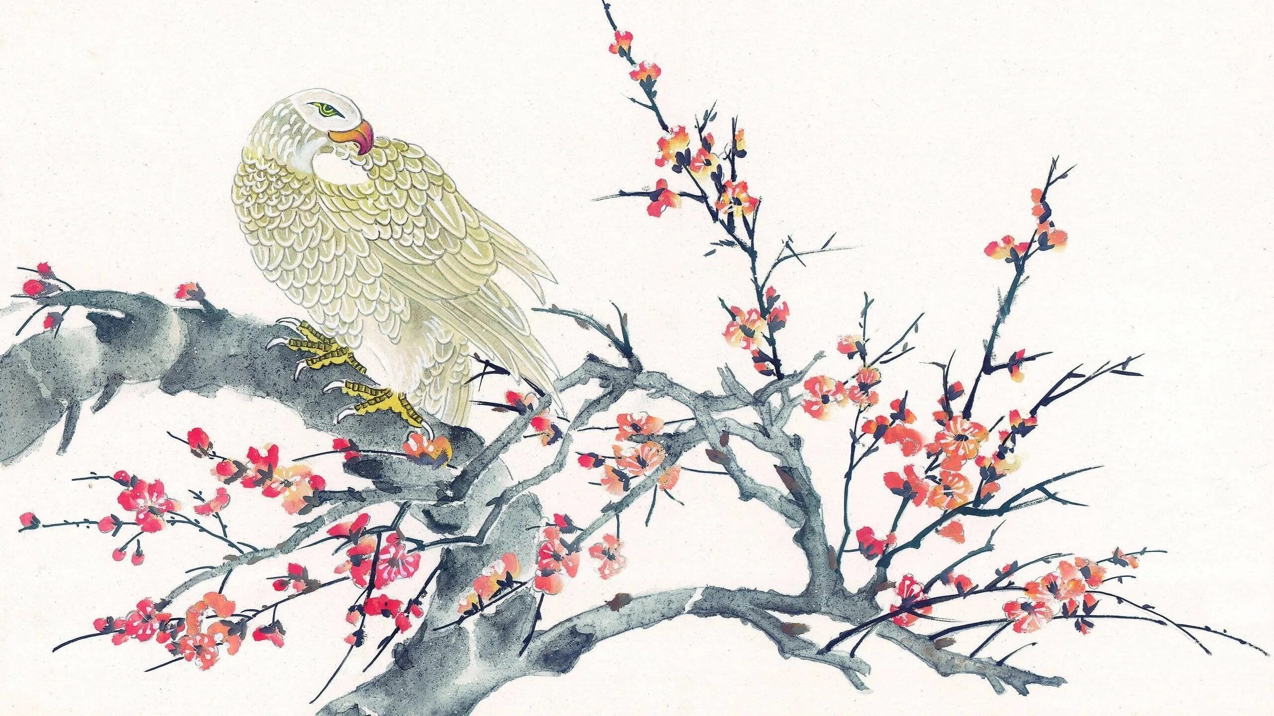 Китайская живопись Хуа Няо. Чжэнь-Няо птица. Китайские мотивы в живописи. Японская живопись.