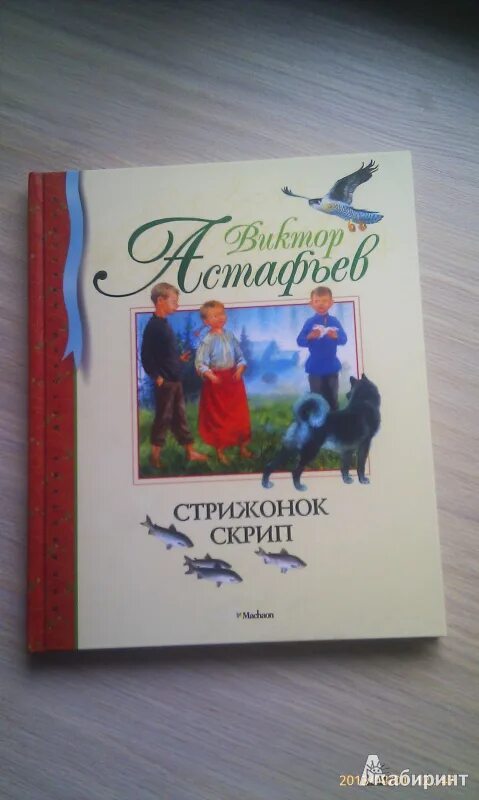 Синквейн стрижиха из рассказа стрижонок скрип. План рассказа Стрижонок скрип. Стрижонок скрип книга. План по рассказу Стрижонок скрип.