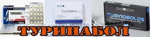 Курс туринабола отзывы
