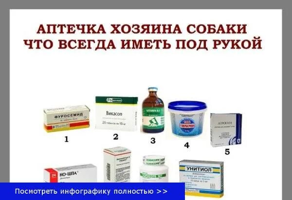 Можно собаке дать обезболивающую таблетку. Лекарства для собак при отравлении. Препараты от отравления для собак. Препараты при отравлении собаки. Таблетки от отравления для собак.