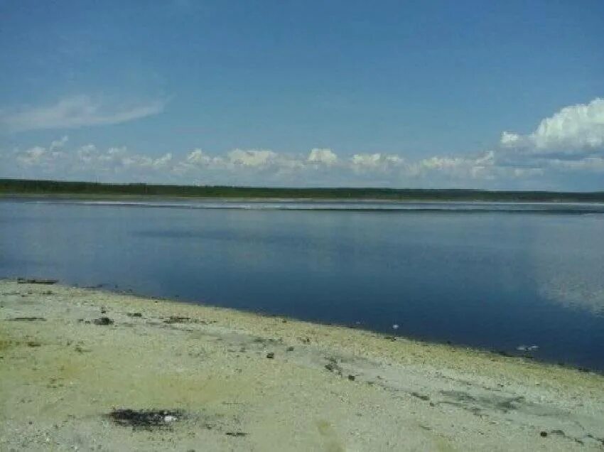 Погода амурская область поселок береговой. П. Погода амурская область поселок береговой. Поселок октябрьский амурская область. Береговой амурская область.