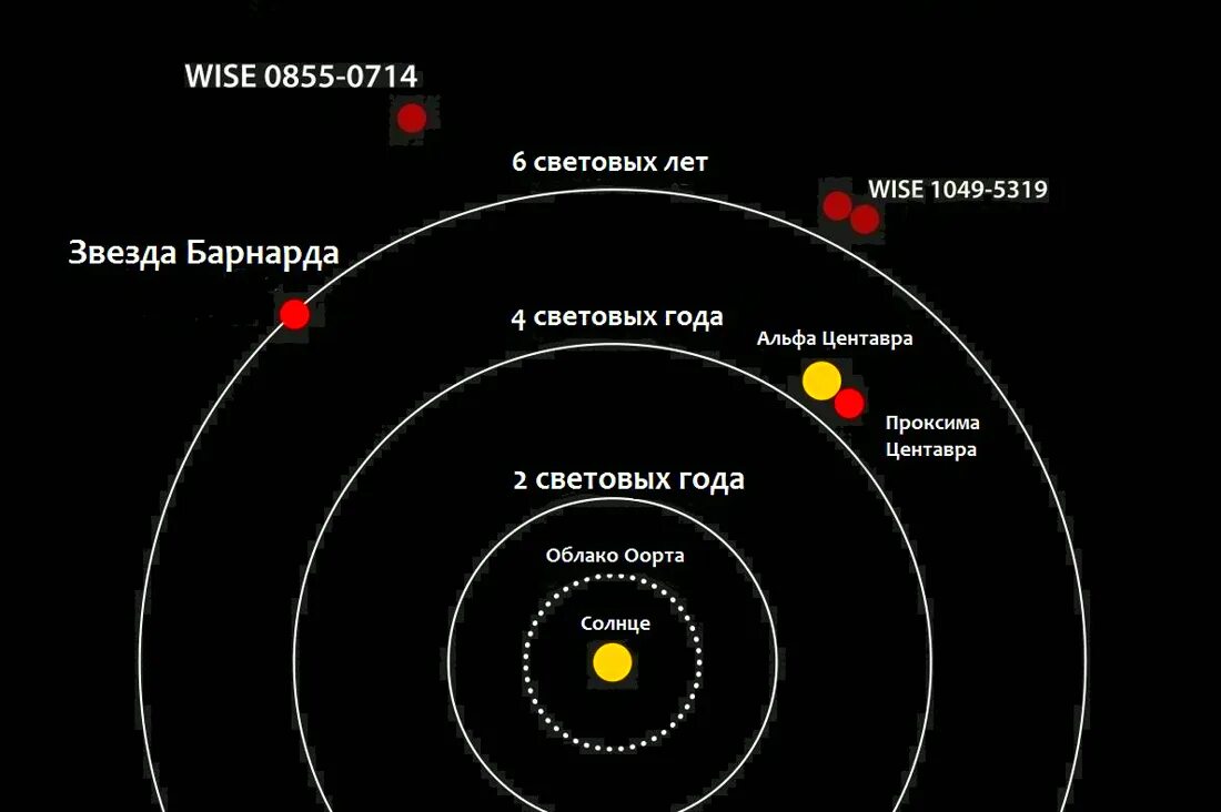 Расстояние до ближайшей звезды в световых. Звёздная система Альфа Центавра. Система Альфа Центавра планеты. Проксима Центавра Созвездие. Альфа Центавра звезд Проксима.