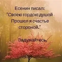 Своею гордою душой прошел я. Своею гордою душой прошел я счастье стороной. цитата своею гордою душой прошел я счастье стороной. прошел я счастье стороной.