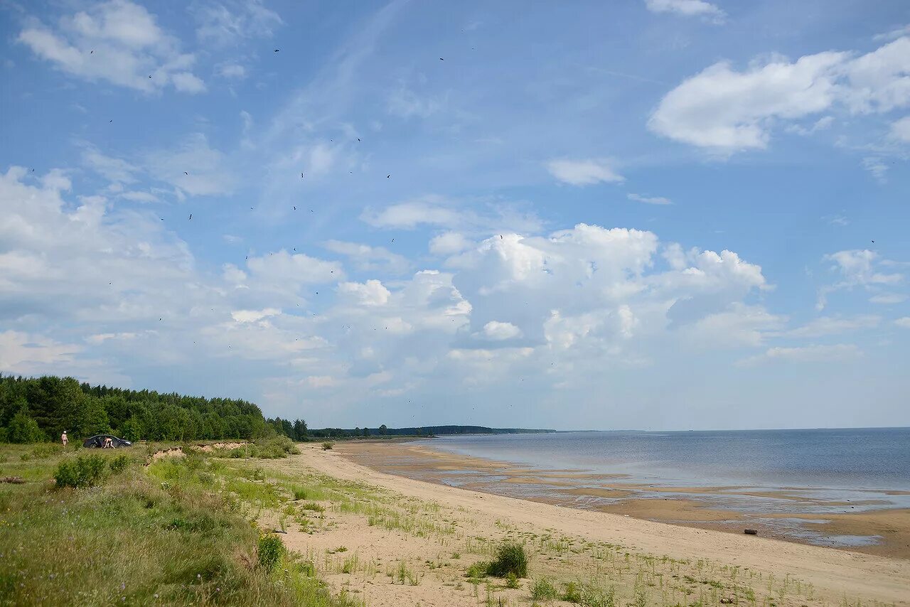 Погода милюшино рыбинский. Милюшино Рыбинское водохранилище. Деревня Милюшино Рыбинское водохранилище. Милюшино берег водохранилища. Рыбинское море Милюшино.