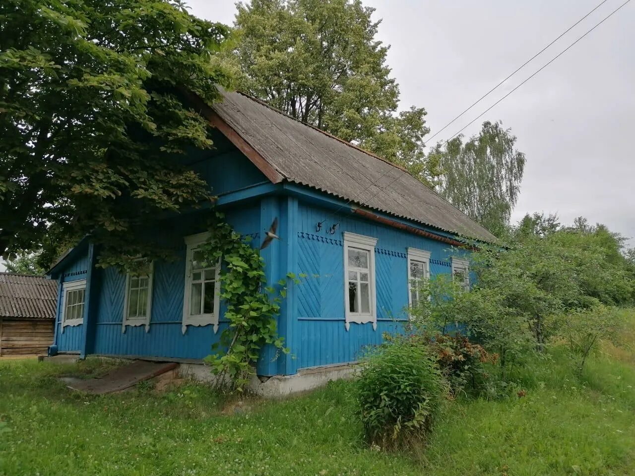 Деревня загады Себежский район. Недвижимость Идрица Псковской области. Деревня Александрово Себежский район. Деревня Желуды Себежский район. Авито псков обл