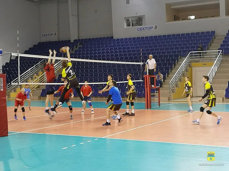 Город спорта отзывы. Волейбол Оренбург. ДЮСШ 2 Оренбург. Детская спортивная школа 2 Оренбург. Курск СКК волейбол.