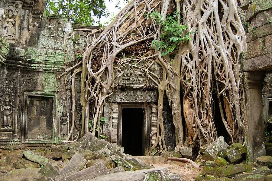 Затерянный в джунглях. Затерянный город в джунглях Ангкор. Храм та Пром. Затерянный храм в джунглях Индии. Та Прохм.