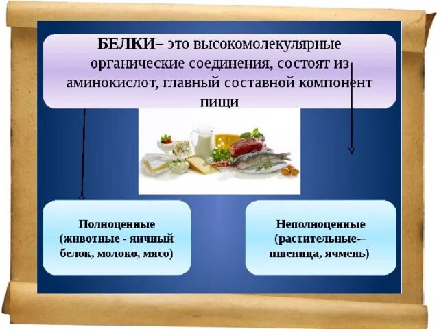 Белки высокомолекулярные соединения. Белки вещества. Высокомолекулярные белки. Главные компоненты пищи белки. Важность белков в питании.