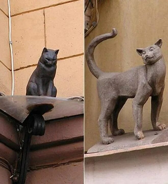 памятник коту и кошке. кот елисей и кошка василиса на малой садовой. памятник бездомному коту санкт петербург. кот елисей и василиса памятник. памятники котам блокадного ленинграда в санкт-петербурге.