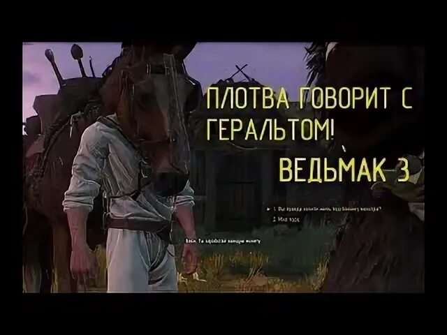 Плотва говорит. Говорящая плотва ведьмак. ведьмак 3 квест разговор с плотвой. ведьмак 3 поговорить с плотвой. говорящая плотва квест.