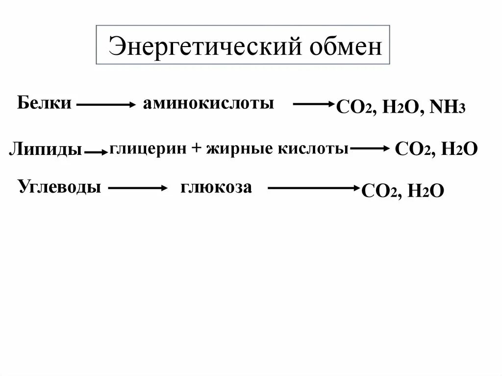 Со2+н2о+nh3. Пластический и энергетический обмен схема. Глюкоза + о2. Пластический обмен белков. 2 белковый обмен