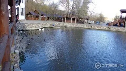 Родник волгоградский просп 42