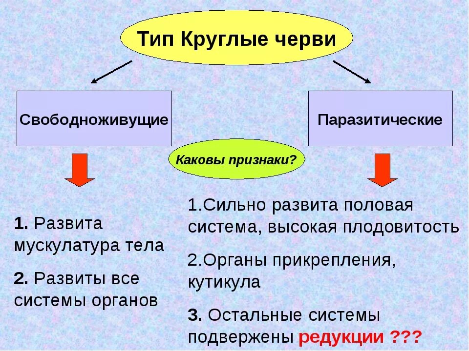 Свободноживущие плоские черви признаки. Признаки типа круглые черви. Признаки круглых червей. Паразитические круглые черви таблица. Круглые черви профилактика.