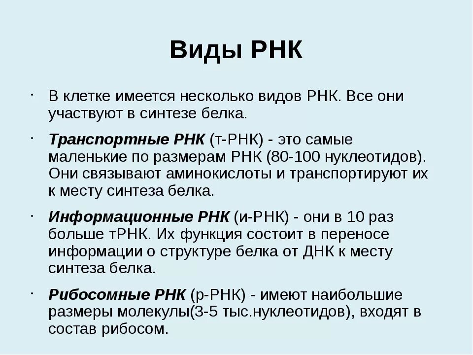 Структура и функции РНК. Типы РНК особенности строения. Перечислите типы РНК И их функции.