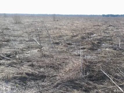 Продам 2 земельных участков